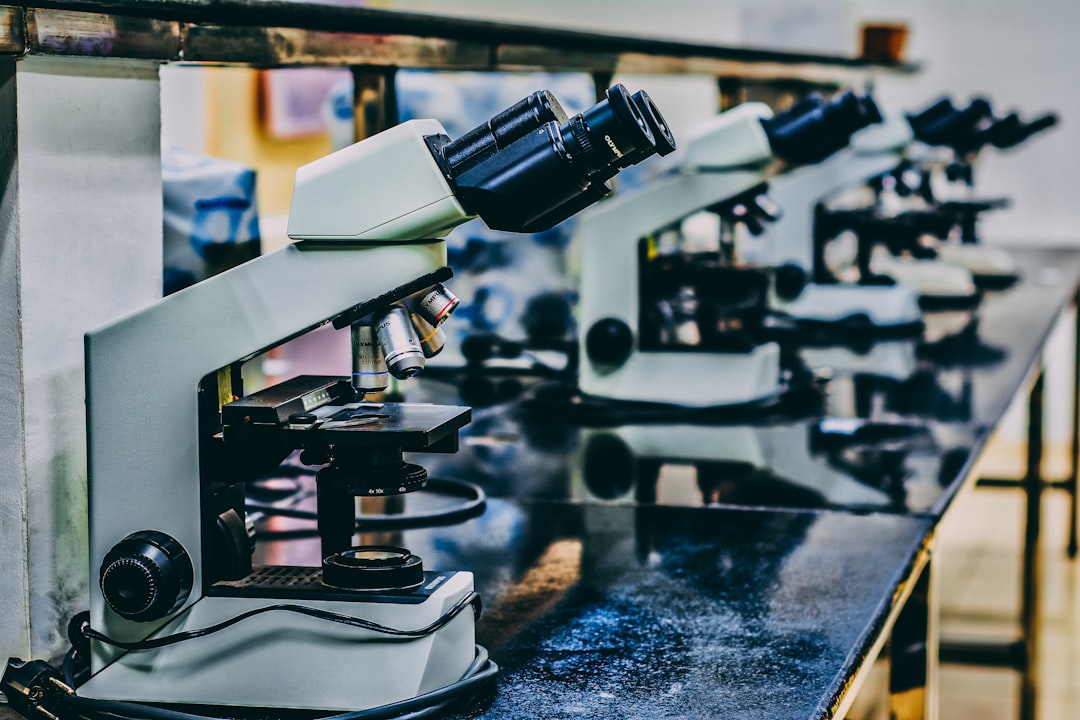 Exploring DNA with Deep Learning