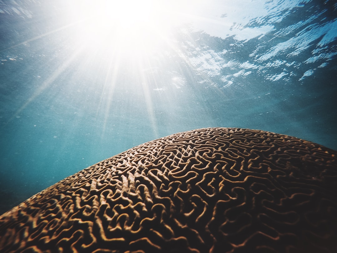 My First Weekend of Deep Learning